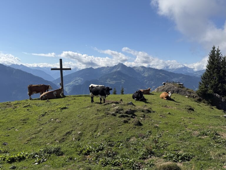 Gamskarkogel peak Goldegg Weng Austria